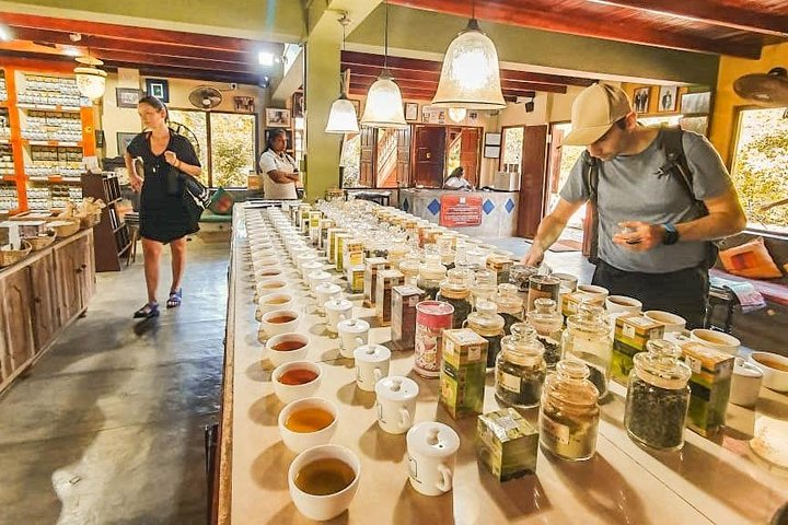 Yala from Galle (2 Days) - Photo 1 of 9